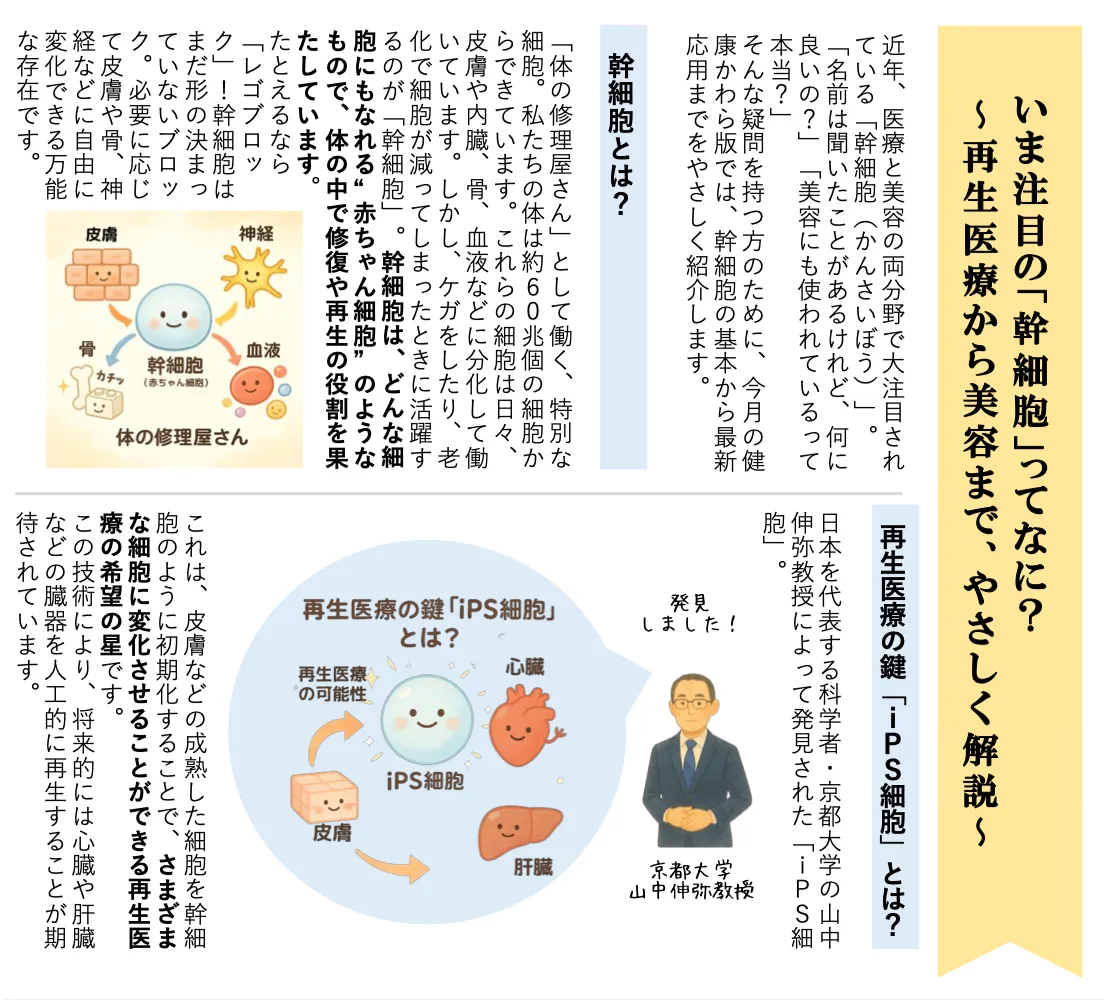 11月より肝細胞美容に関して体験会を実施します!